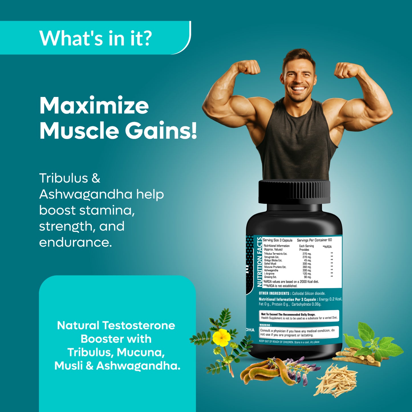 OAGS TESTOSTERONE BOOSTER