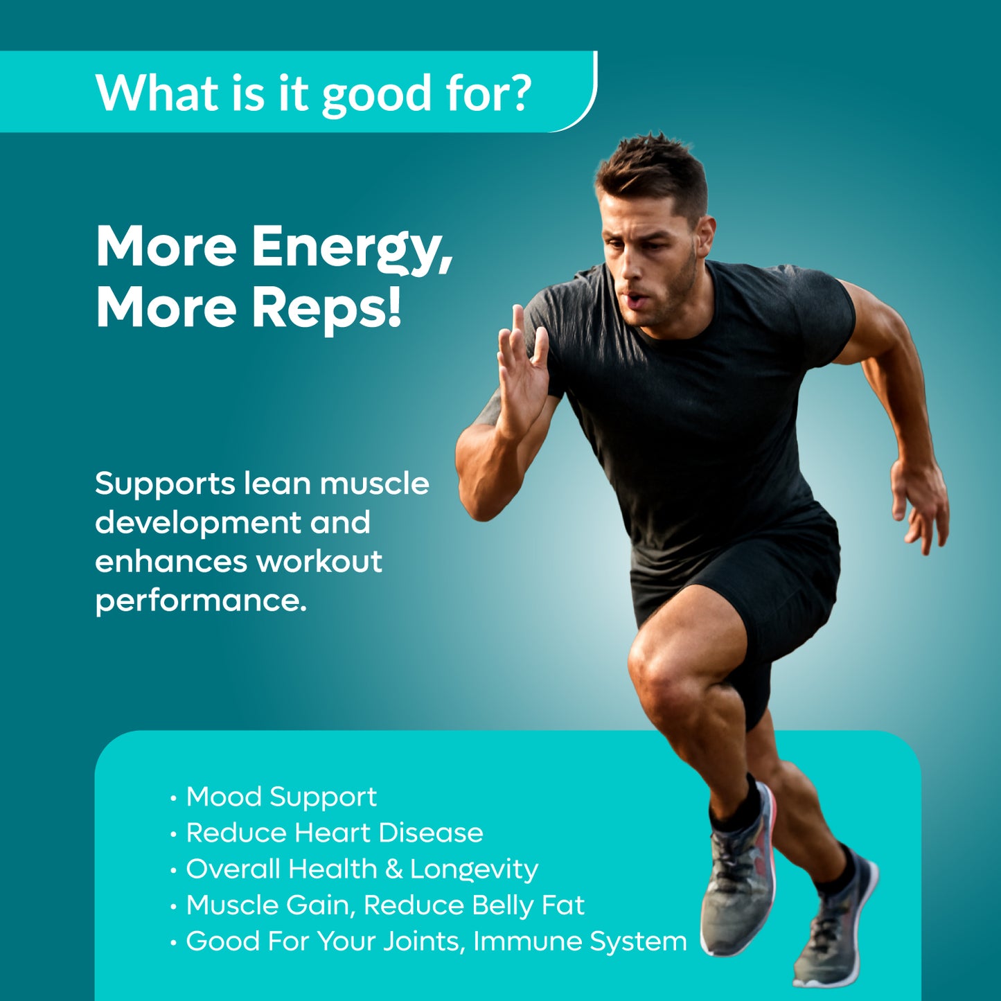 OAGS TESTOSTERONE BOOSTER