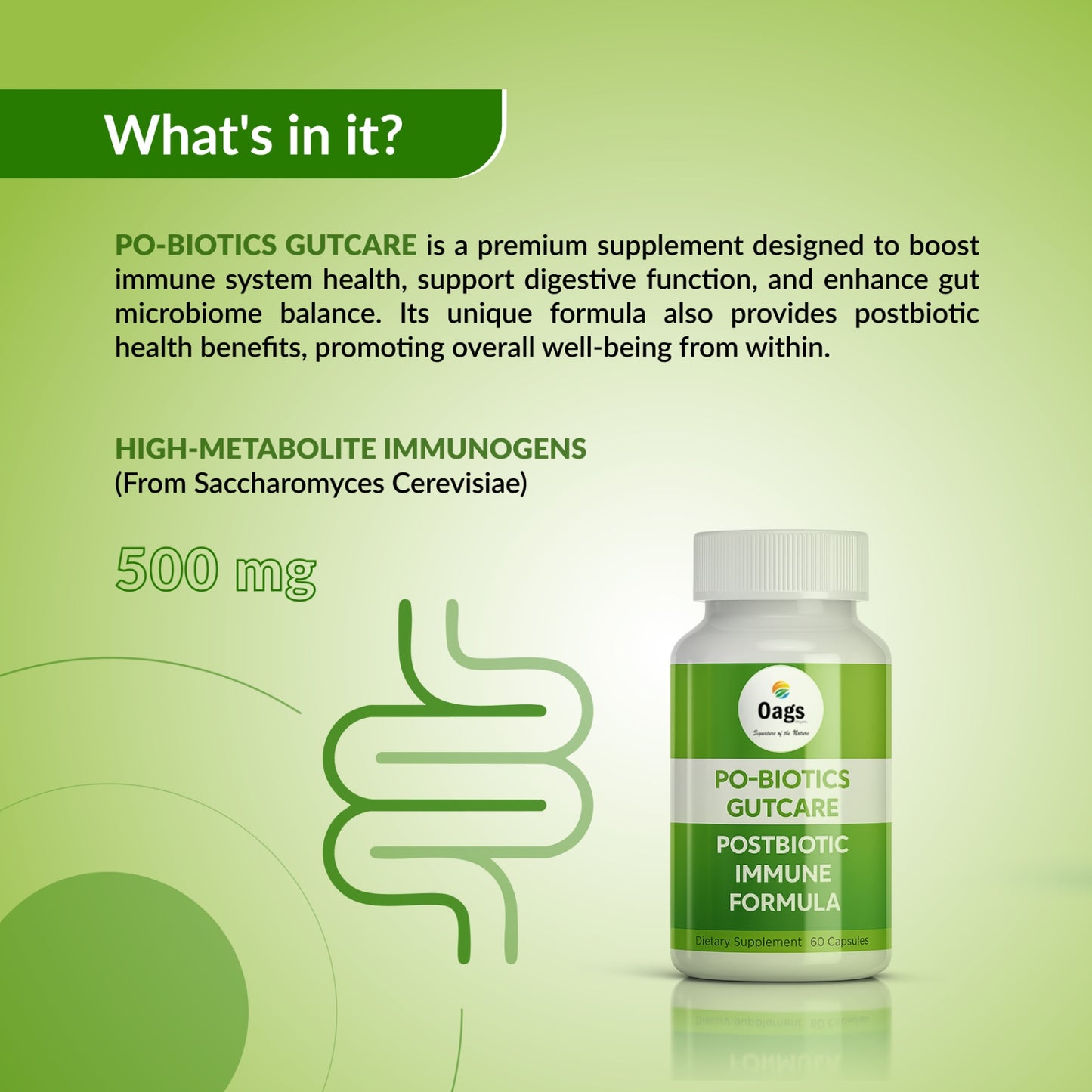 OAGS PO-BIOTICS GUTCARE